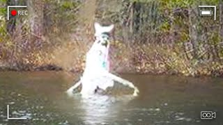 Câmera de Segurança Captura o que Ninguém Deveria ter Visto