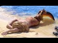 Real Life Mermaid Melissa Footage on Tropical ...