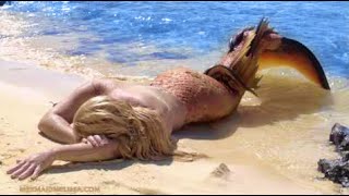 Real Life Mermaid Melissa Footage on Tropical Isla