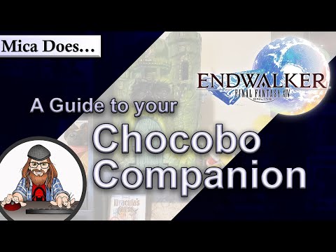 A Guide to your Chocobo Companion