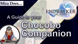 A Guide to your Chocobo Companion