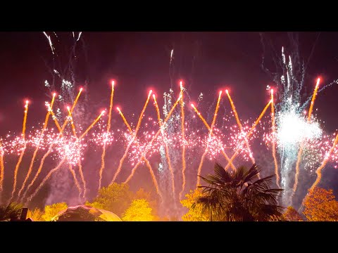 Rollercoaster Night Ride Fireworks Cam