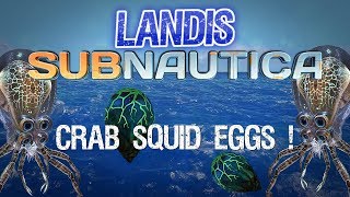 Crab Squid Eggs - Subnautica guides - ZP CF