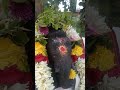 Vinayagar Whatsapp Status Tamil Ganapathi Vinayagar