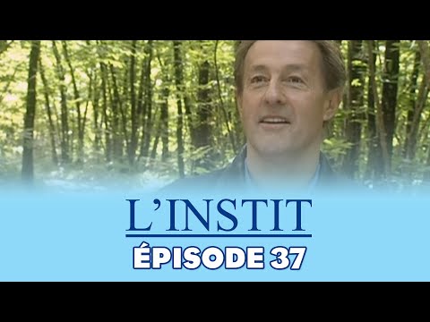 L'INSTIT - Aurélie | EPISODE 37