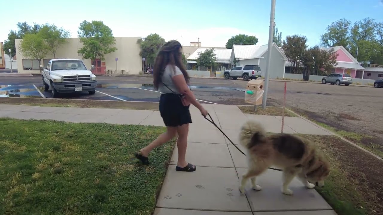 Immersive street-level walking tour through Marfa, TX, United States, showcasing authentic urban landscapes, local architecture, and the vibrant atmosphere of the city's neighborhoods