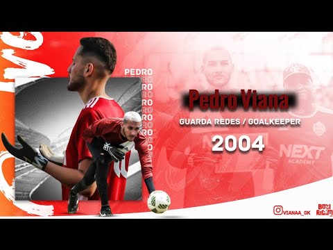 Highlights 
