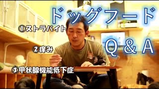 ドッグフードＱ＆Ａ　甲状腺機能低下　尿路結石　痒み
