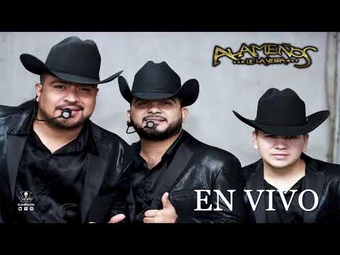 Corazón de Perico - Los Alameños de la Sierra (En Vivo)