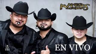 Corazón de Perico - Los Alameños de la Sierra (En Vivo)