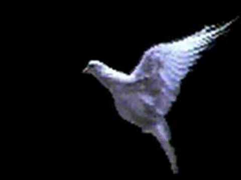 No Greater Love video thumbnail