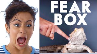Liza Koshy Touches a Bearded Dragon, Chinchilla & Other Weird Stuff in the Fear Box | Vanity Fair