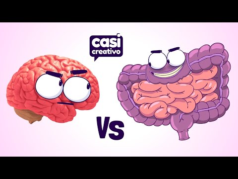 Intestino VS Cerebro | Casi Creativo