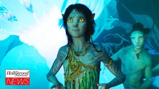 ‘Avatar: The Way of Water’ Sets Sail at Overseas Box Office With $16M Opening Day | THR News