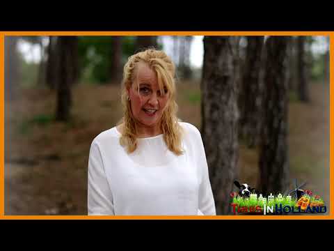 Thuis in Holland met Cazilia   Verlangen