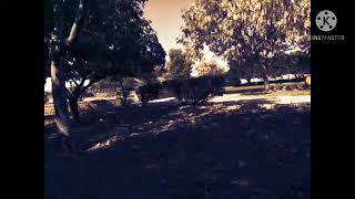 Tilawat e kalam Pak  surah nazia'at  in 8D audio