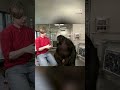 Kanzi, the smartest ape that ever lived | 60 Minutes Australia