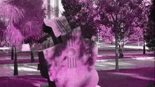 Soc Navegant Solitari - Lax'n'Busto