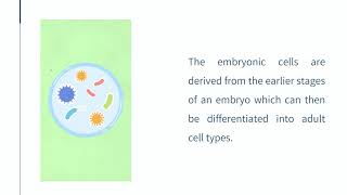 Dr. David Greene R3 Stem Cell