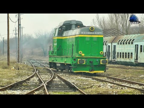 LDE1250 69-0005-9 la Manevră/Shunting in Gara Oravița Station  - 14 February 2019
