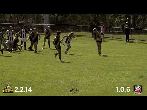 Round 1 QFA Div 2 Seniors - Tweed Coast Tigers Vs Coomera Magpies