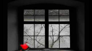 Parni valjak  -  Sve jos mirise na nju