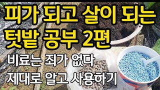미리 하는 텃밭 공부 2편 - 비료는 죄가 없다. 제대로 알고 사용하기