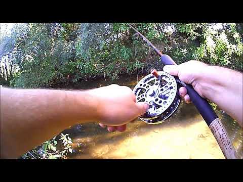 Small River Roving In Kent