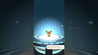 Pokemon Go Catch!     #shorts #pokemon #pokemongo #gottacatchemall