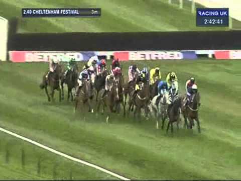 Cheltenham 2012 Albert Bartlett Novices Hurdle - Brindisi Breeze