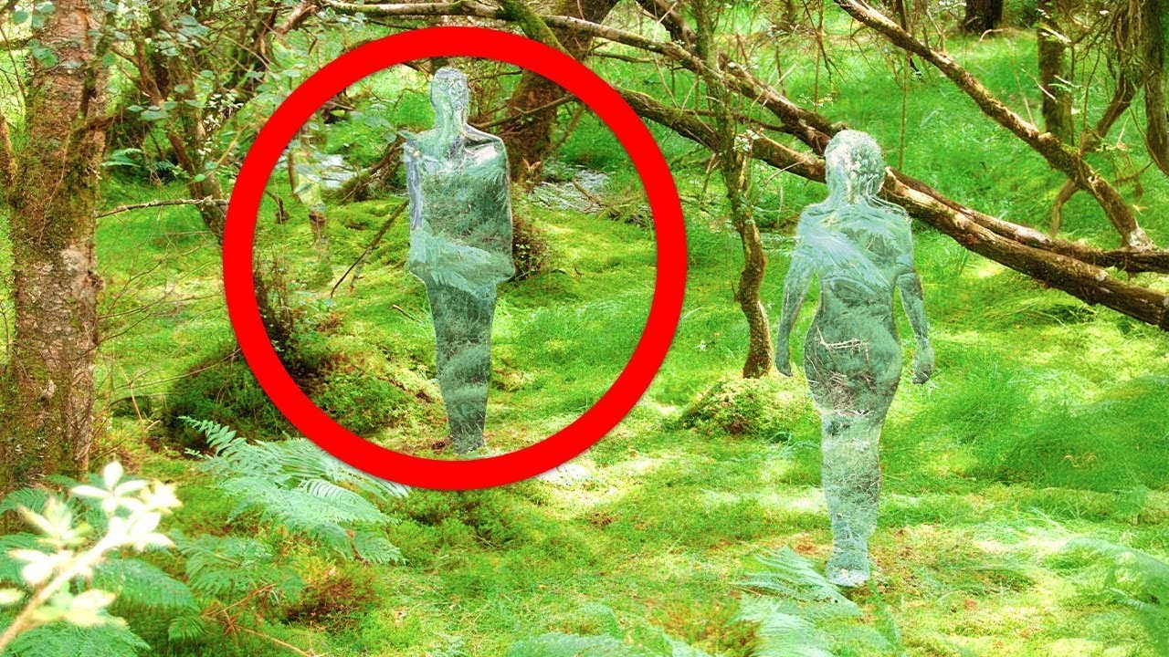 TERRIFYING Things Found In The Woods