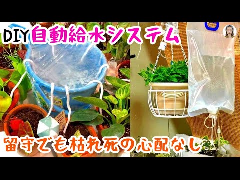 効果的な自家製点滴灌漑を導入するにはどうすればよいですか?自分で組み立てる 5 つ以上の DIY!  庭園
