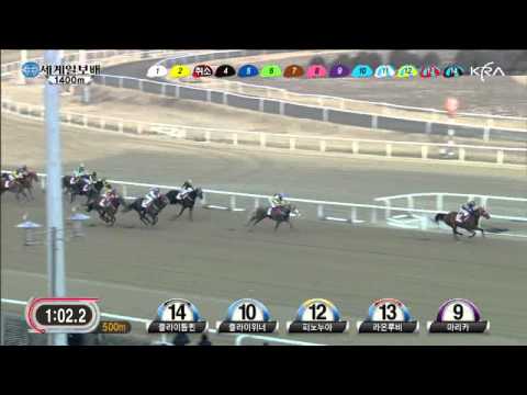 Segye Ilbo Cup 2014 Fly Top Queen