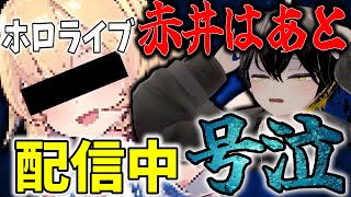 【ホロライブ】赤井はあとが号泣暴露配信…これさぁ……