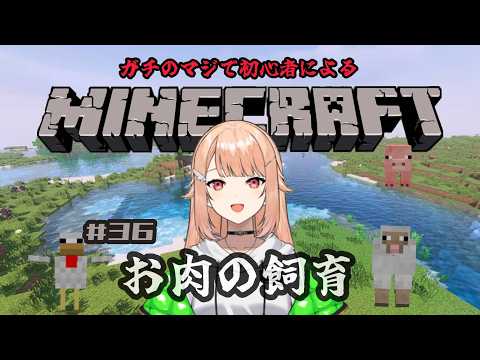 【#minecraft 】# 36 初心者マインクラフト・朝活マイクラ!お肉を飼育したい【#羽鳥凪 / #vtuber 】