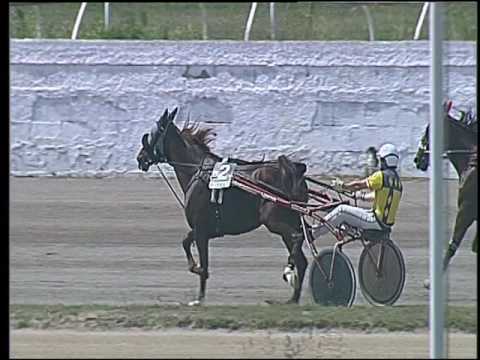 Trotto 22/06/2016 - 1° corsa II TRIS