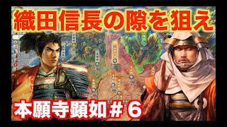 【信長の野望新生】本願寺顕如＃６   斎藤道三を狙う、織田信長に一撃を加えよう！