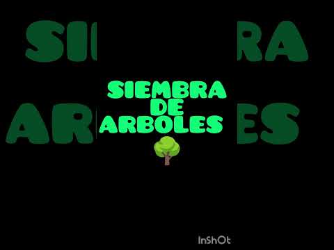 Daniela Isabel Navarro López 202445128