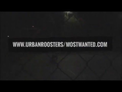 CONCURSO CON PREMIO - the Most Wanted Freestyler de Urban Roosters
