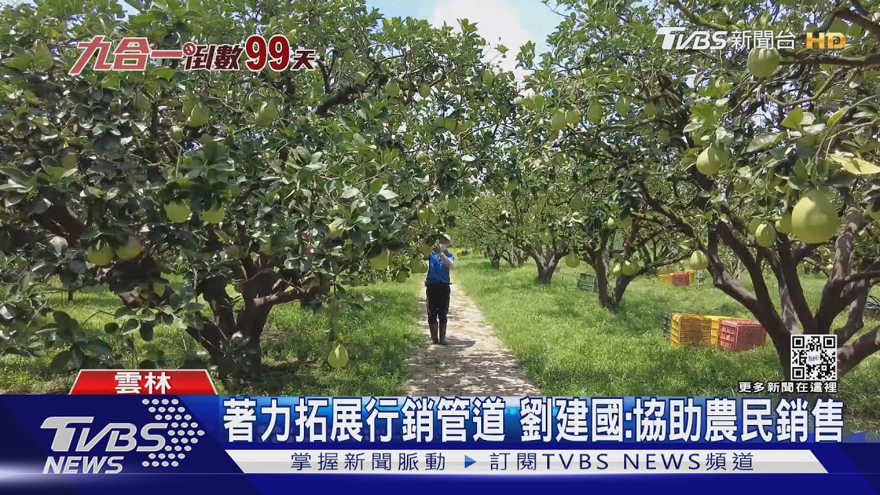 搶攻雲林「農業大縣」 藍綠都打「科技」牌