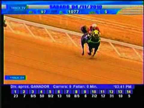 Resumen Sábado, 04 de Diciembre de 2010 - La Rinconada