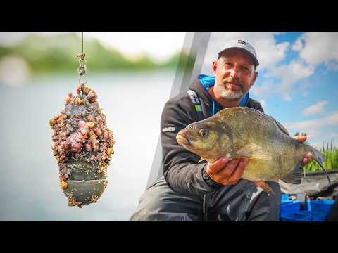 England World Champion Fishing For Huge Bream