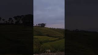 Download lagu Story wa kata kata sam pitak #short mp3 Download lagu Story wa kata kata sam pitak #short mp3