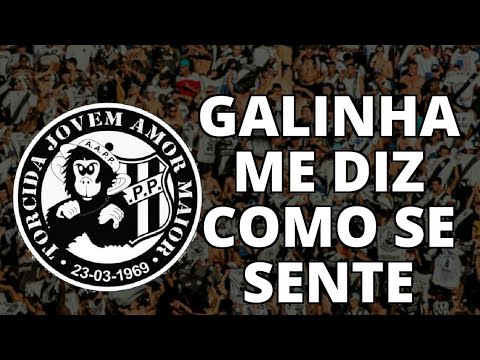 Galinha Me Diz Como se Sente | TORCIDA JOVEM PONTE | Letras | Ponte Preta