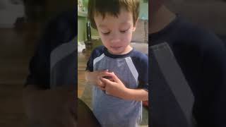 Happy Birthday to all the Mama's  - Love, Milo #shorts