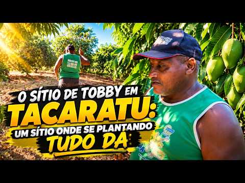 O SÍTIO DE TOBBY EM TACARATU PE: UM SÍTIO FARTO, ONDE SE PLANTANDO TUDO DÁ! 🌳🌱
