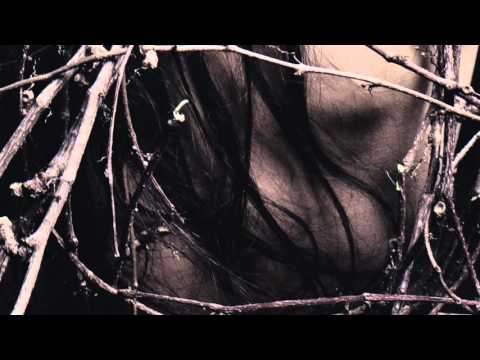 Rïcïnn - "Lïan" [Album Teaser - 2016]