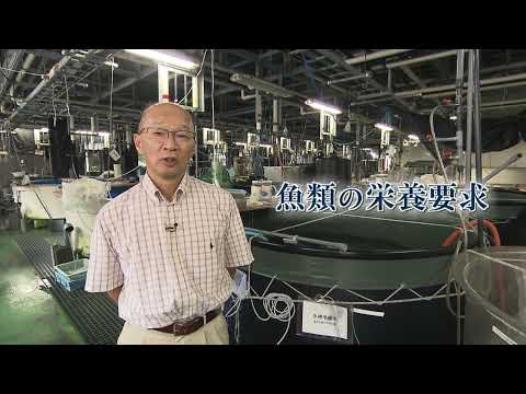 【福井県立大学】先端増養殖科学科　先端育成科学分野　餌料栄養学　佐藤 秀一 教授