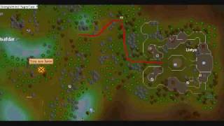 White Berries Guide