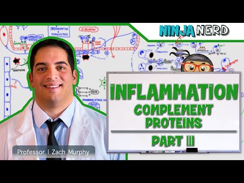 Immunology | Inflammation: Complement Proteins: Part 3